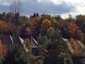 Roofs as the Northern Forest - Ecological Performance Standards